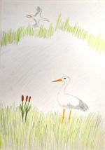 Szirotnyaková Vanessa.jpg